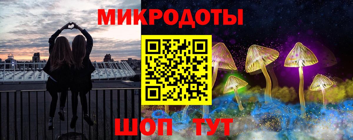 Псилоцибиновые грибы Psilocybine cubensis Новозыбков
