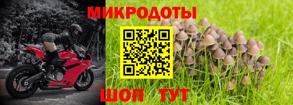 Псилоцибиновые грибы GOLDEN TEACHER  Вход с VPN  Псилоцибиновые грибы прущие грибы  Новозыбков 